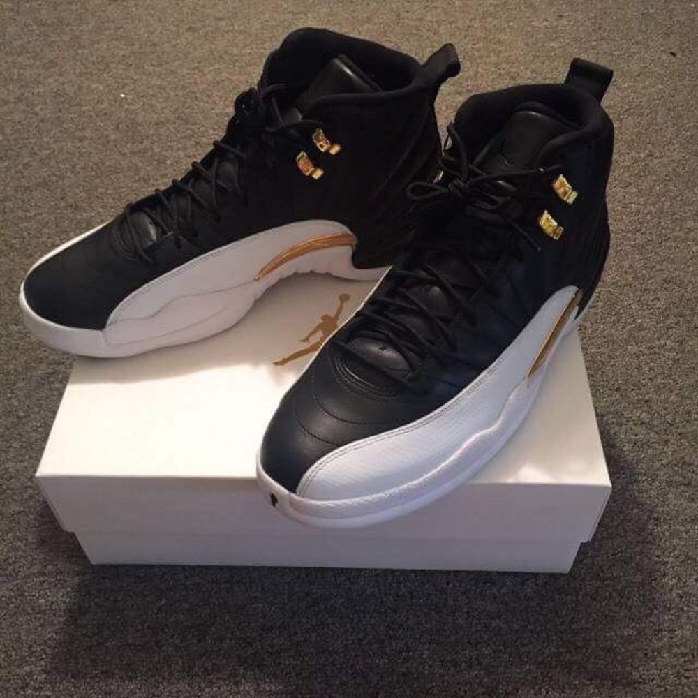 Air Jordan retro 12’s  “wings”